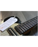 GENERAL VINTAGE TONE "1960s Custom Special Black Candy black sparkle Charlie Christian"