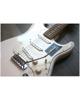 FENDER "Player Stratocaster , Pau Ferro, Polar White"