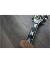 DEAN "Made In Usa by Dean B.Zelinsky Michael Schenker Flames LTD 100 Pieces made only"