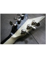 DEAN "Made In Usa by Dean B.Zelinsky Michael Schenker Flames LTD 100 Pieces made only"