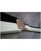 DEAN "Made In Usa by Dean B.Zelinsky Michael Schenker Flames LTD 100 Pieces made only"