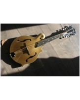 EASTMAN "F-Style Mandolin 418 Gold Top" Hardcase