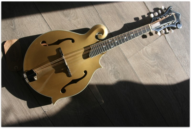 EASTMAN "F-Style Mandolin 418 Gold Top" Hardcase