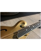EASTMAN "F-Style Mandolin 418 Gold Top" Hardcase