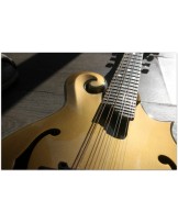 EASTMAN "F-Style Mandolin 418 Gold Top" Hardcase