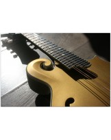 EASTMAN "F-Style Mandolin 418 Gold Top" Hardcase