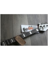 SANDBERG "California VM4 Supreme White Hardcore Aged" GIG BAG