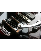 MAYBACH "Jazpole 63 P-90 Black Aged B5 Bigsby" HARDCASE