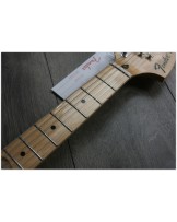 FENDER "Ben Gibbard Mustang"