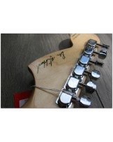 FENDER "Ben Gibbard Mustang"