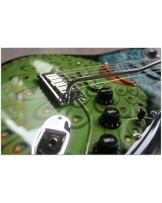 FENDER "Custom Shop Limited Edition Stratocaster "Proud" Pamelina H." (Only 3 pieces made worldwide)