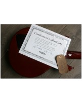 HAMER "Artist Ultimate Red Wine" Number 34 of series MADE IN USA, HARDCASE