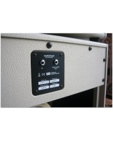 HAMSTEAD "Artist 20 +RT Stack 1 x 12 Celestion"