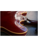 GIBSON "Custom Shop 1964 ES-335 Reissue - Sixties Cherry" HARDCASE