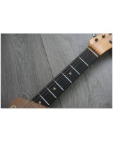FENDER "Custom Shop 1960 Telecaster Custom Heavy Relic Rosewood, Chocolate Three Tone Sunburst"