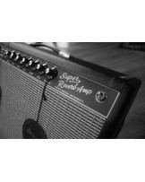 FENDER " Tone Master Super Reverb"