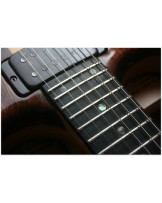 IBANEZ " 2710 Artist Custom Series Double Cutaway Neck Thru with Super 88 Humbuckers Natural with Gold Hardware" (1978 August)