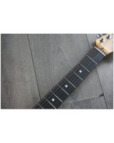 FENDER " American Professional II Stratocaster, Three Color Sunburst, Rosewood"
