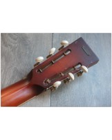 National "Delphi Copper"