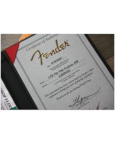 FENDER "LIMITED Custom Shop Ltd 70's Telecaster Journeyman Relic Pink & Purple Stardust" HARDCASE/PAPERS/3.75 KILOGRAMS