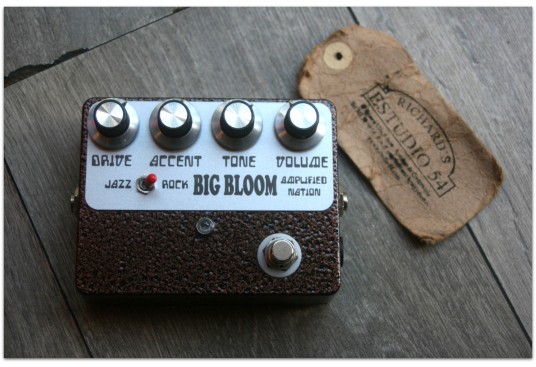 Amplified Nation &quot;Big Bloom Overdrive&quot;