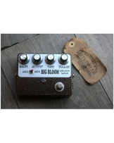 Amplified Nation "Big Bloom Overdrive"