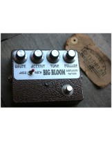 Amplified Nation "Big Bloom Overdrive"