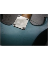 WOODSTOCK GUIITARS "Oldboy, SSS, Dark Sherwood with Blues Reunion Gig Bag"