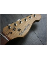 WOODSTOCK GUITARS "Oldboy, SSS, Copper Firemist" GIGBAG