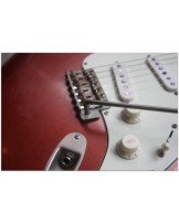 WOODSTOCK GUITARS "Oldboy, SSS, Copper Firemist" GIGBAG