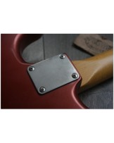 WOODSTOCK GUITARS "Oldboy, SSS, Copper Firemist" GIGBAG