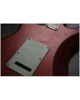 WOODSTOCK GUITARS "Oldboy, SSS, Copper Firemist" GIGBAG