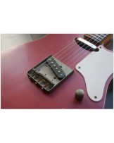 WOODSTOCK "Old Boy T, Rosewood, SS., Burgundy" GIGBAG