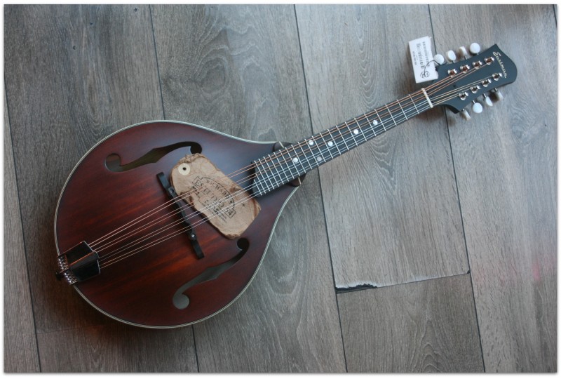 EASTMAN "MD305" Gig Bag