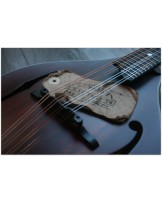 EASTMAN "MD305" Gig Bag