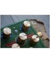 BEETRONICS "Swarm LTD"