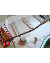 MAGNETO "Sonnet 16 Olive Whisper" Gig Bag & Papers