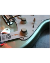 MAGNETO "Sonnet 16 Olive Whisper" Gig Bag & Papers