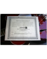 Gretsch "6119 Tennessean Rose Original de 1991/ before Gretsch was owned of Fender" ORIGINAL