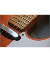 WOODSTOCK "Oldboy T Salmon Sparkle" with Reunion Blues Gigbag