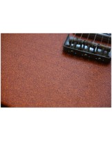WOODSTOCK "Oldboy T Salmon Sparkle" with Reunion Blues Gigbag