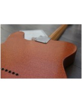 WOODSTOCK "Oldboy T Salmon Sparkle" with Reunion Blues Gigbag