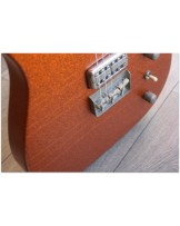 WOODSTOCK "Oldboy T Salmon Sparkle" with Reunion Blues Gigbag