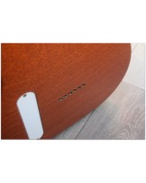 WOODSTOCK "Oldboy T Salmon Sparkle" with Reunion Blues Gigbag