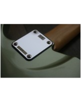 MAGNETO "T- Wave Olive Whisper" GIGBAG