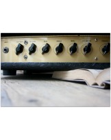 KOOL "1984 Head"