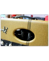 SWART AMPLIFIER "Atomic Space Tone Head MK II"