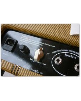 SWART AMPLIFIER "Atomic Space Tone Head MK II"