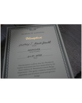 WOODSTOCK "Oldboy T Black Sparkle" with Reunion Blues Gigbag