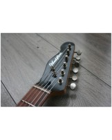 WOODSTOCK "Oldboy T Black Sparkle" with Reunion Blues Gigbag